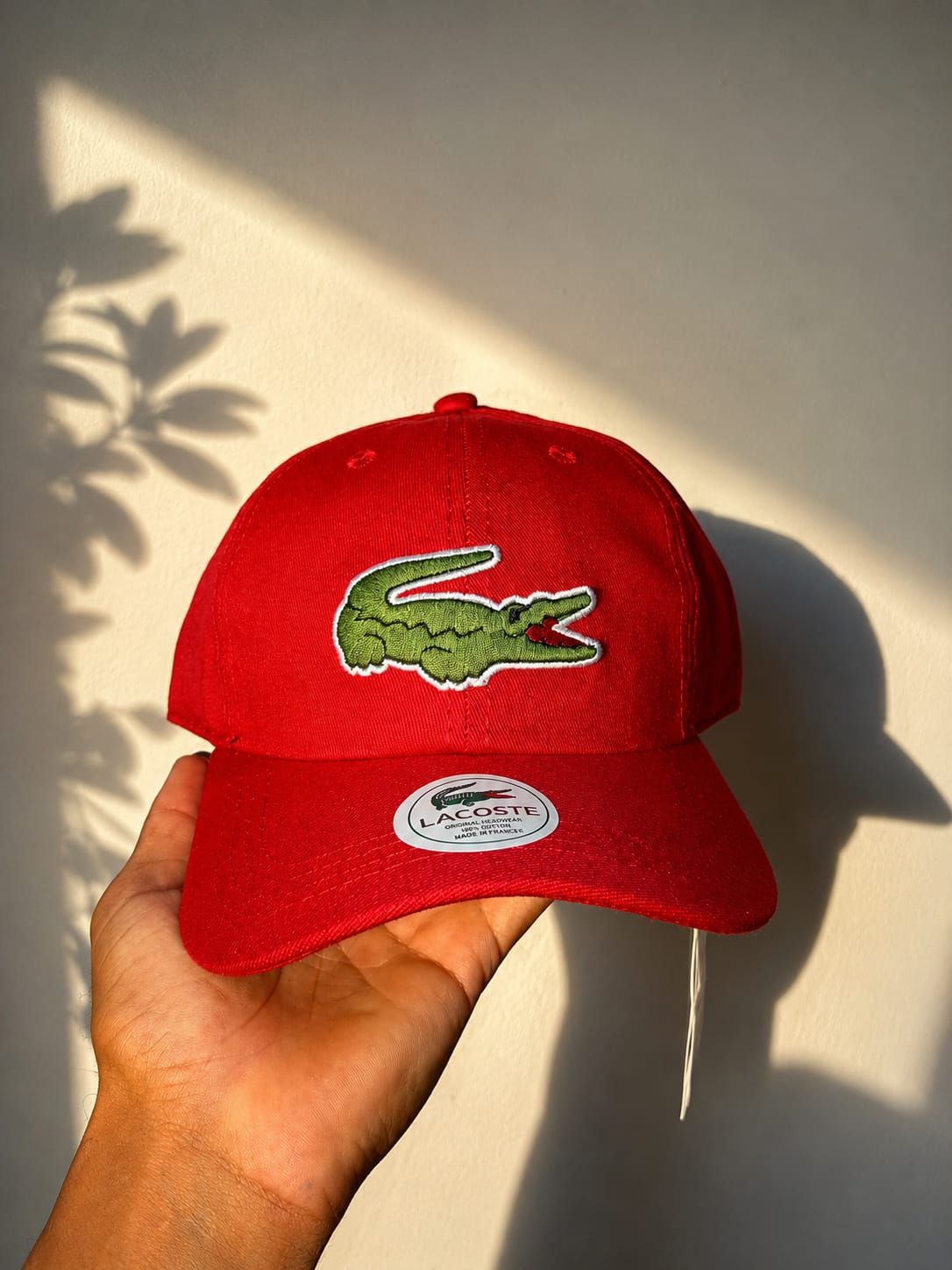 💎Boné Lacoste Premium ✅